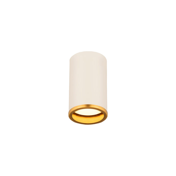 1 Light Flush Mount