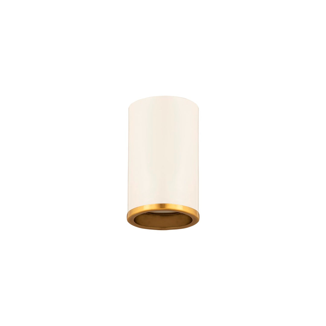 1 Light Flush Mount