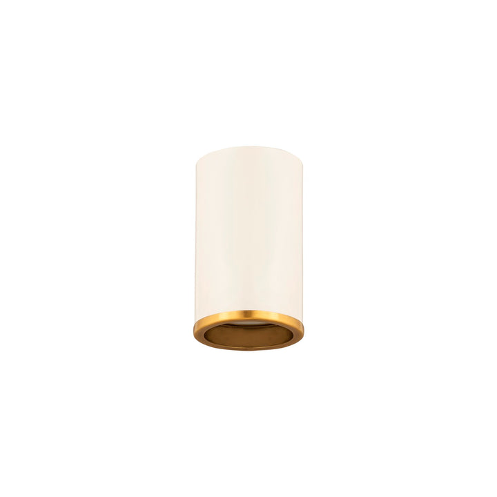 1 Light Flush Mount