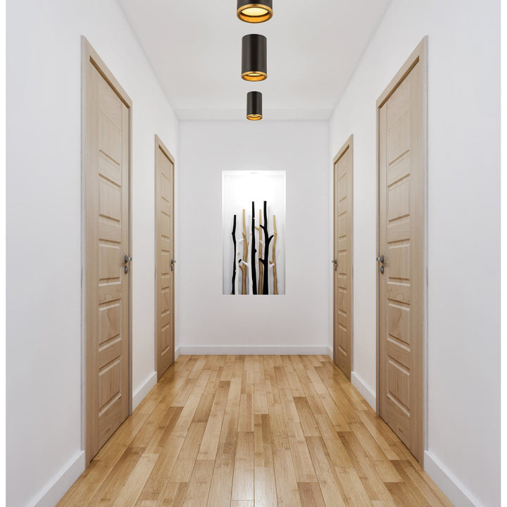 1 Light Flush Mount