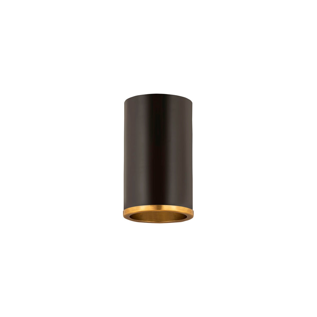 1 Light Flush Mount