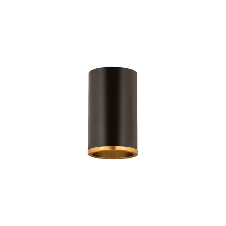 1 Light Flush Mount