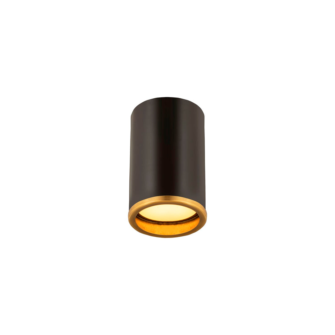 1 Light Flush Mount