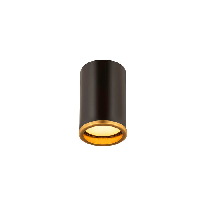 1 Light Flush Mount