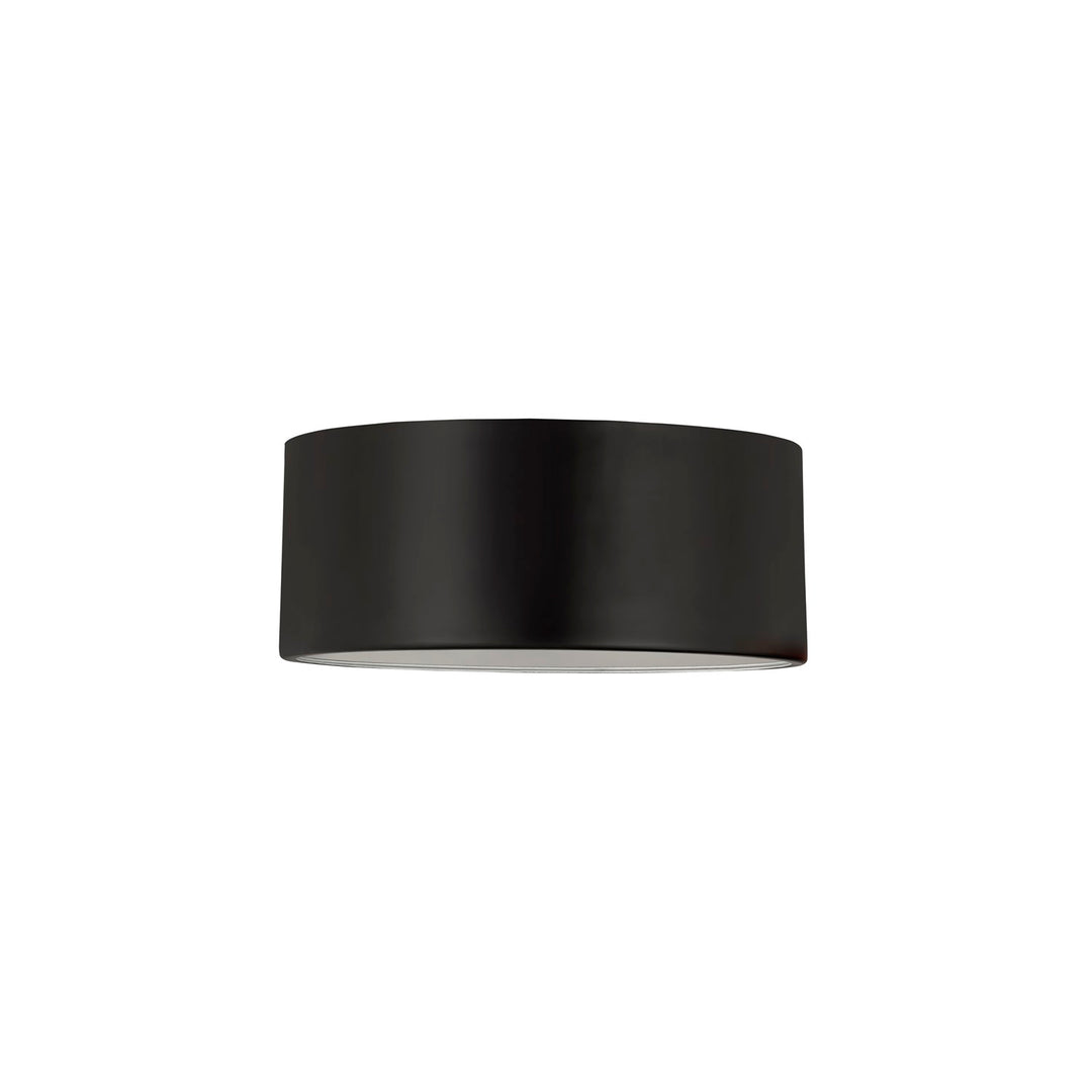 2 Light Flush Mount