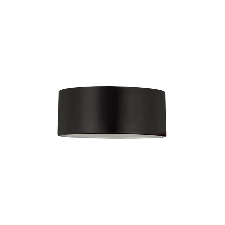 2 Light Flush Mount