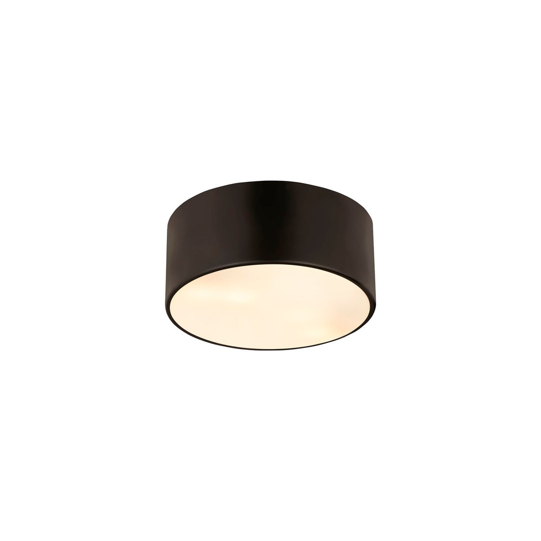 2 Light Flush Mount