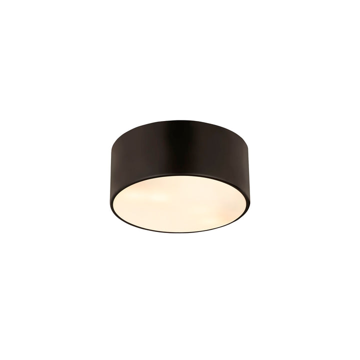 2 Light Flush Mount