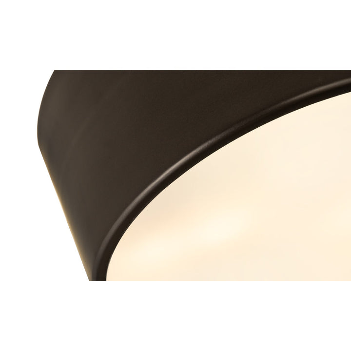 2 Light Flush Mount