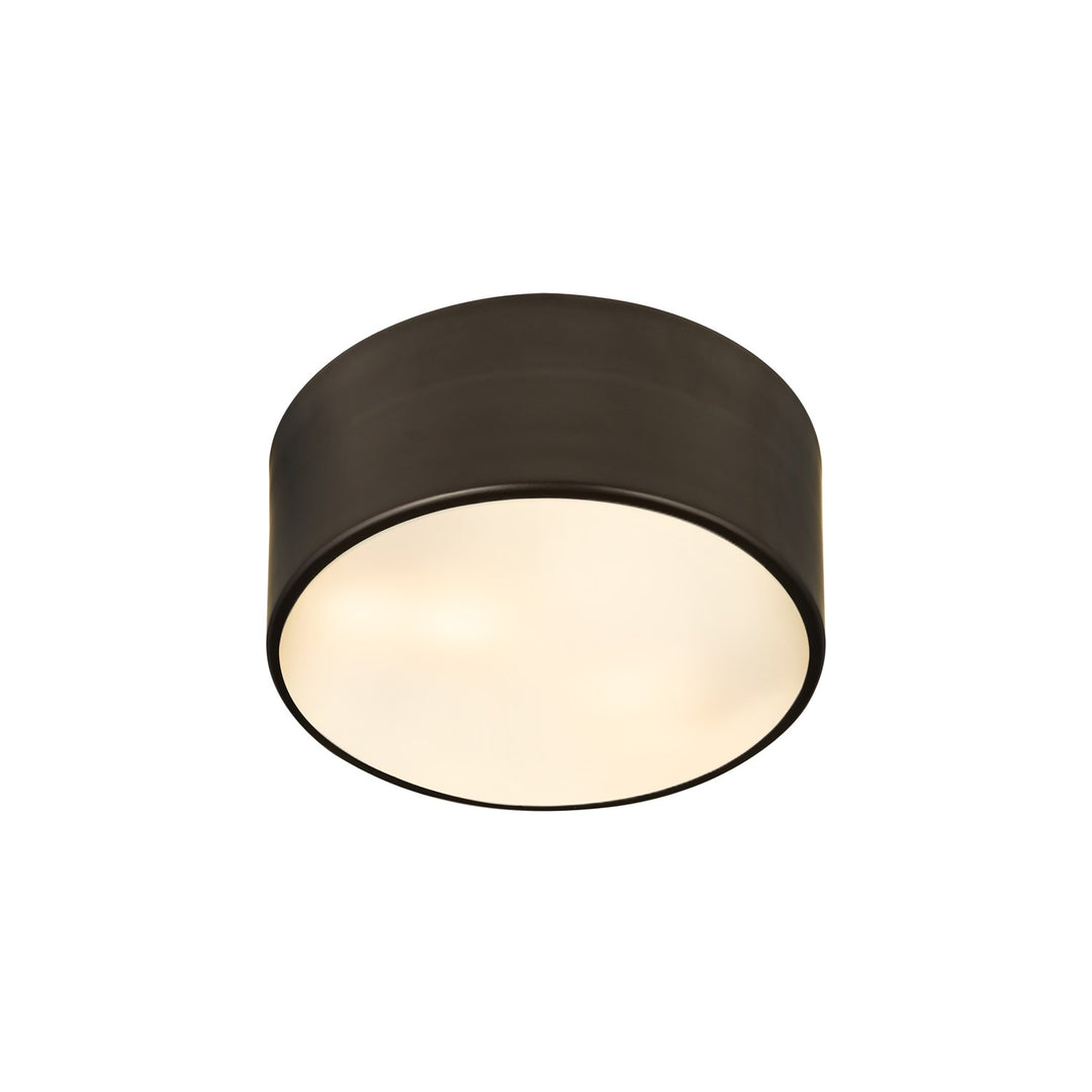 2 Light Flush Mount