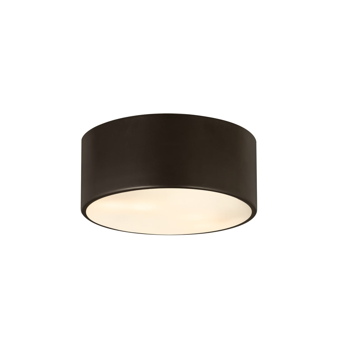 2 Light Flush Mount