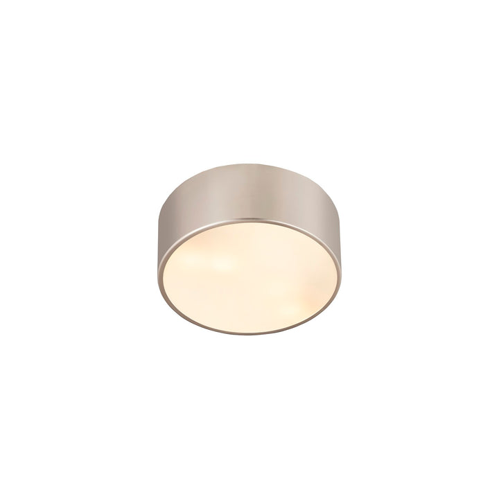 2 Light Flush Mount