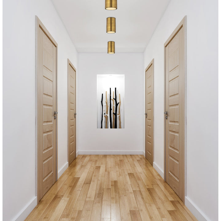 1 Light Flush Mount