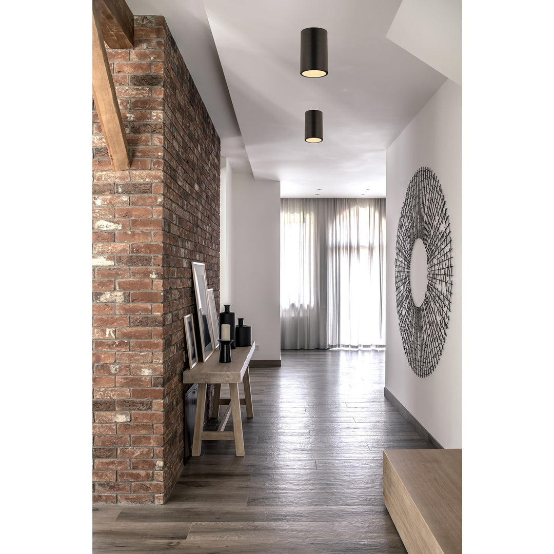 1 Light Flush Mount