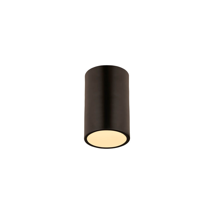 1 Light Flush Mount