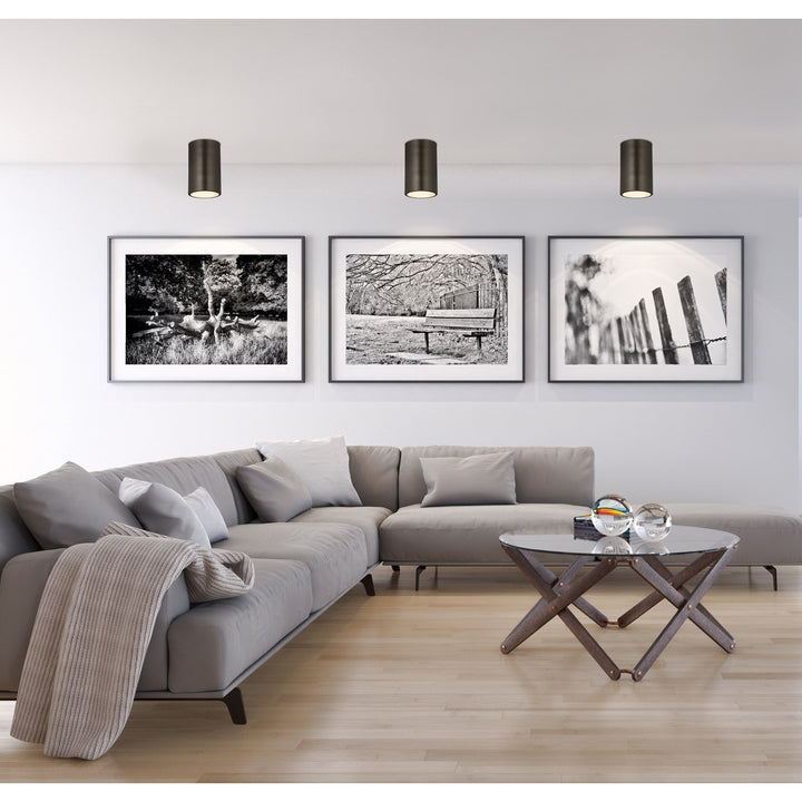 1 Light Flush Mount
