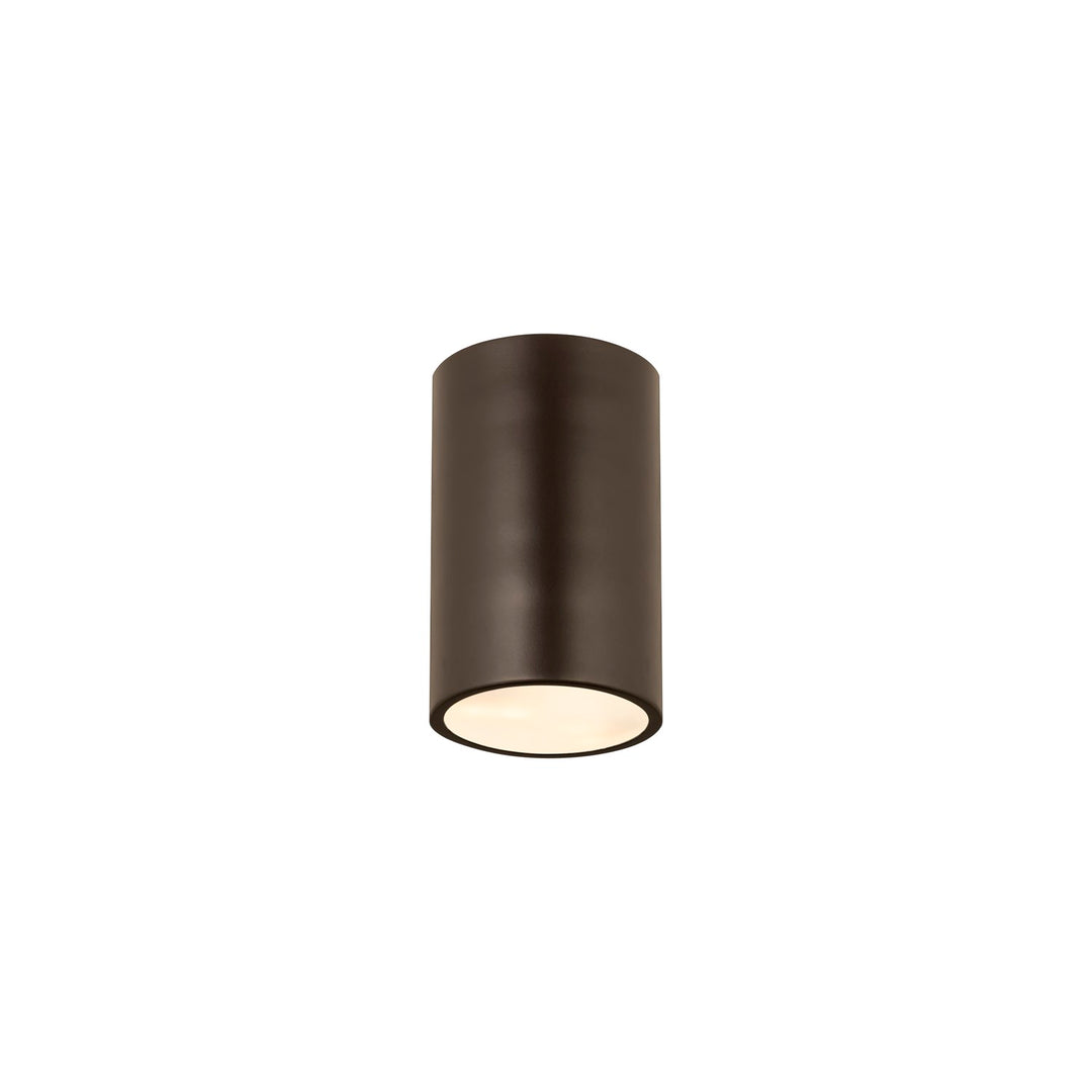 1 Light Flush Mount