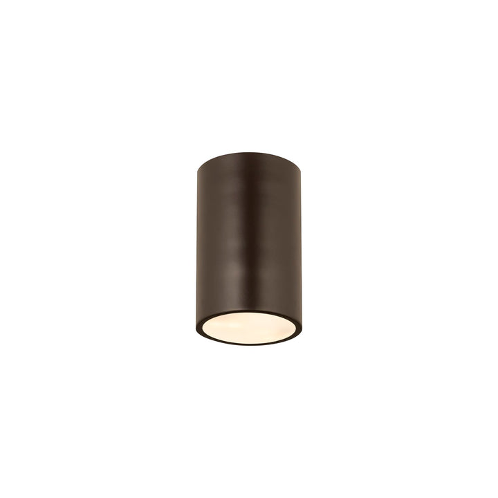 1 Light Flush Mount