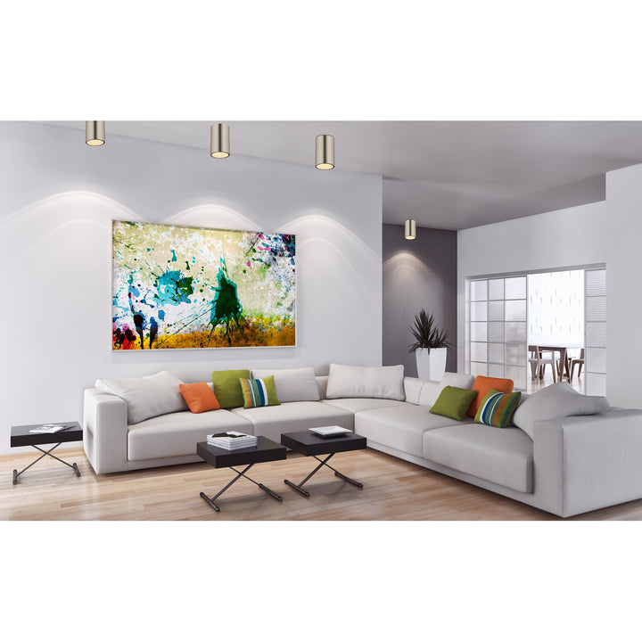 1 Light Flush Mount