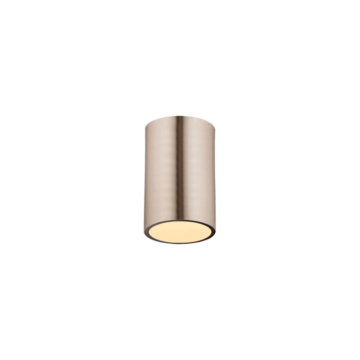 1 Light Flush Mount