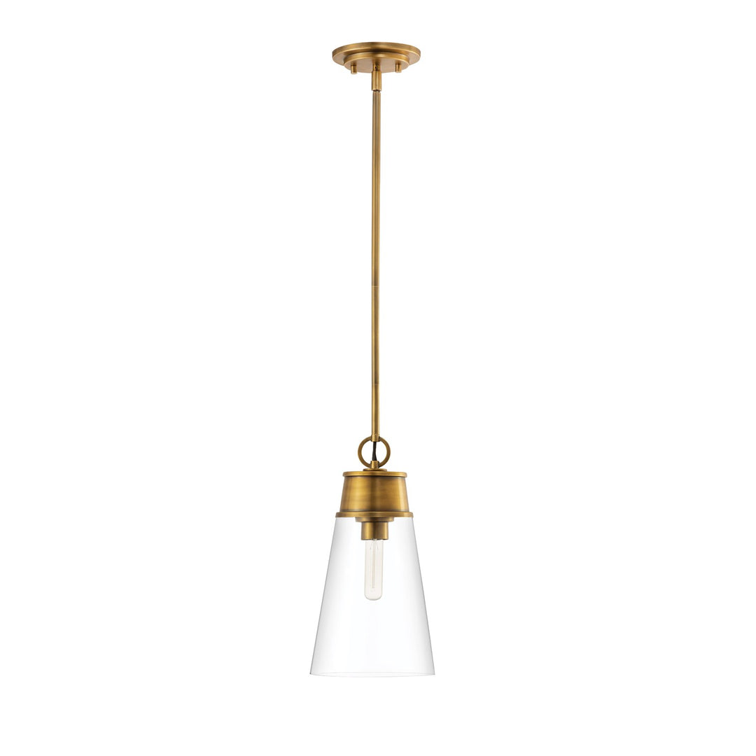 1 Light Pendant