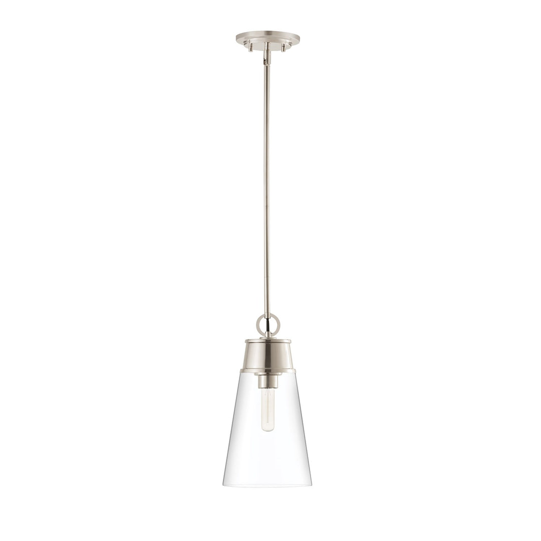 1 Light Pendant