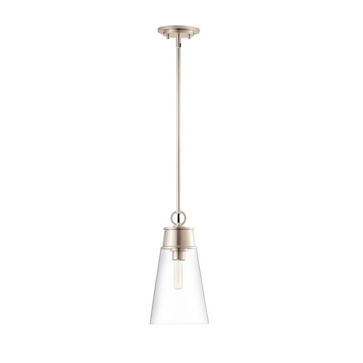 1 Light Pendant
