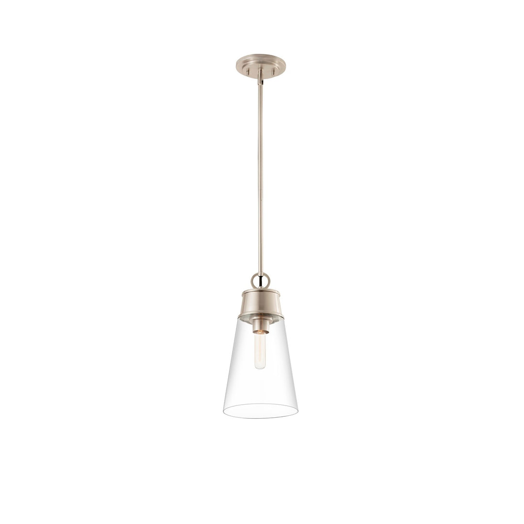 1 Light Pendant