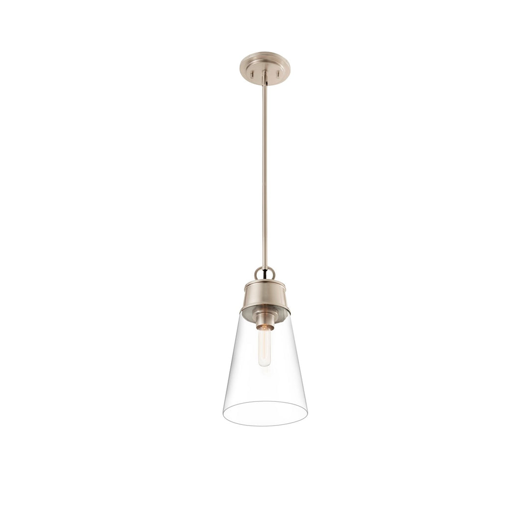 1 Light Pendant