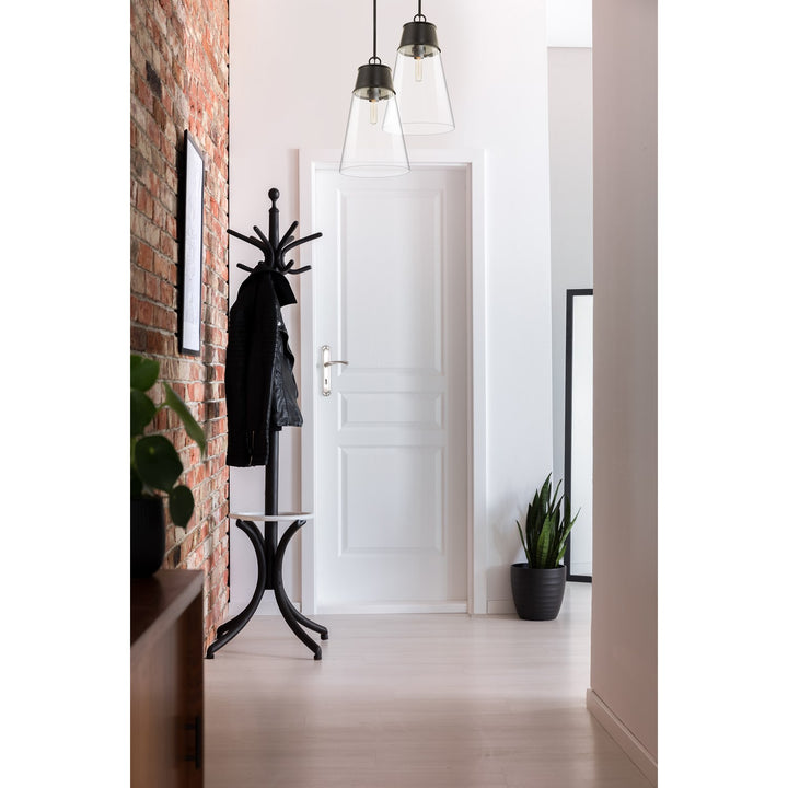 1 Light Pendant