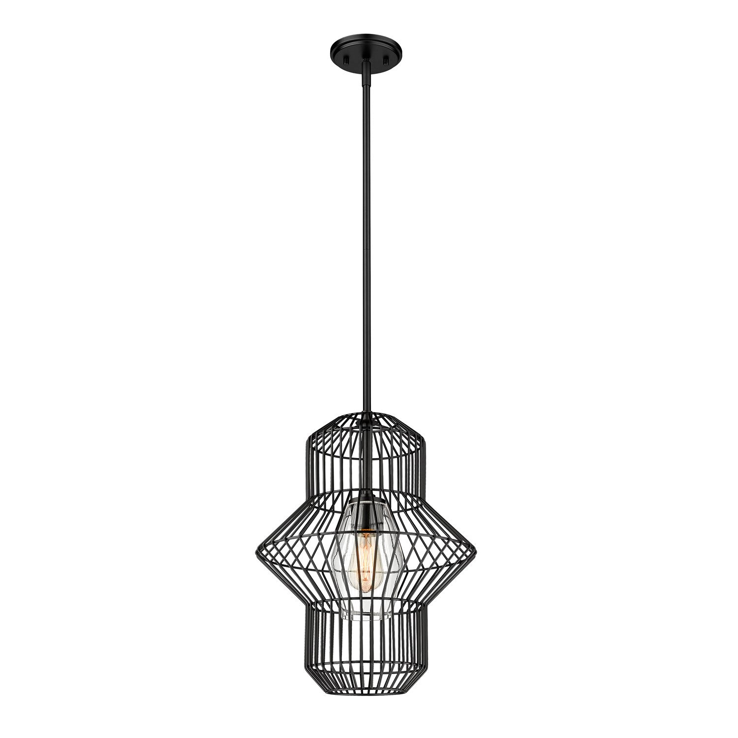 1 Light Pendant by Z-Lite