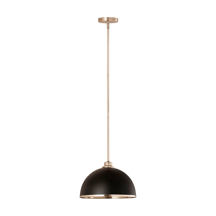 1 Light Pendant