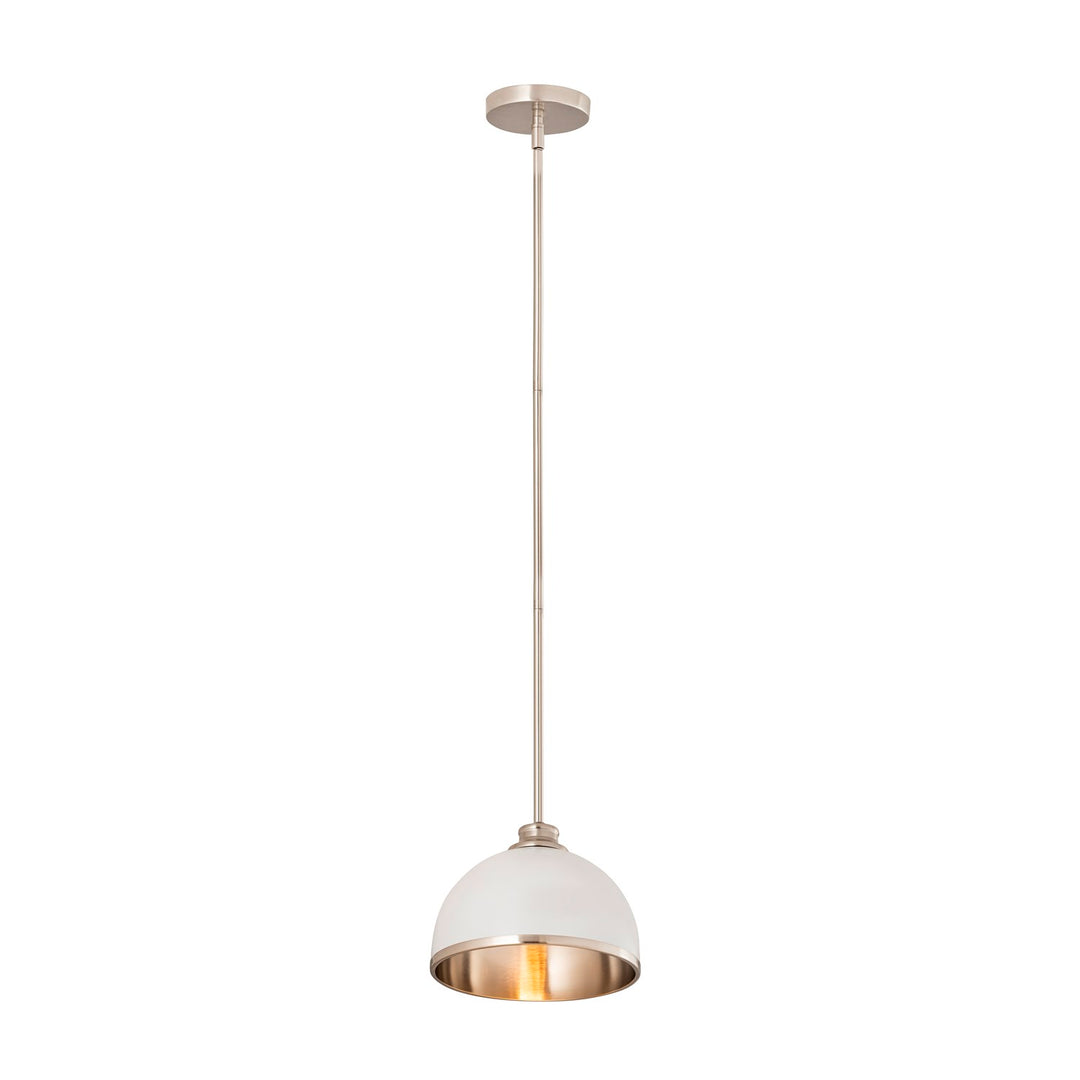 1 Light Pendant