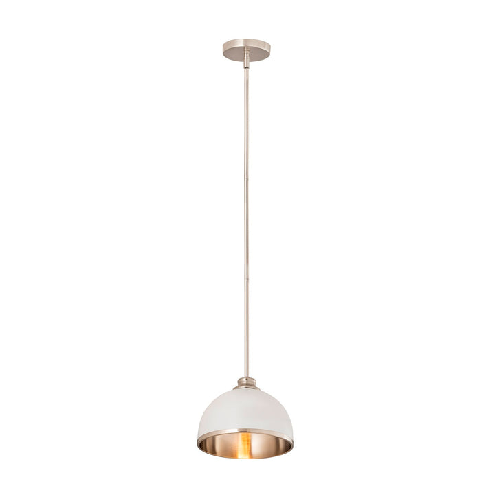 1 Light Pendant