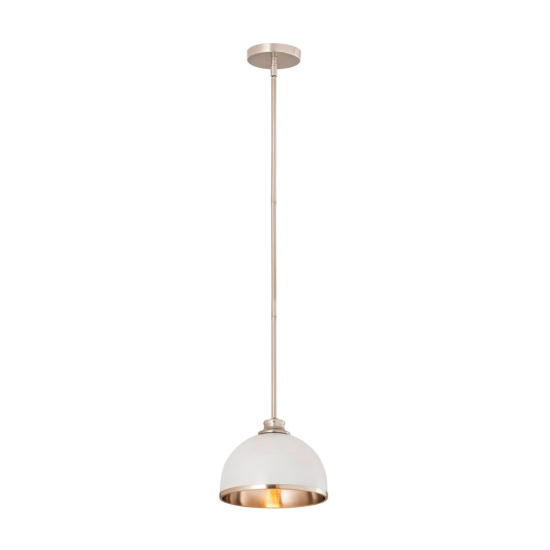 1 Light Pendant