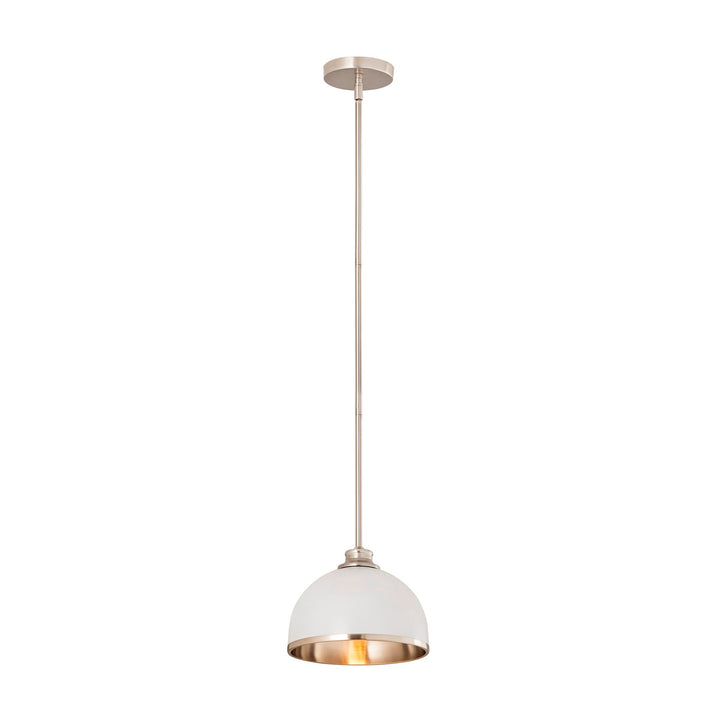 1 Light Pendant