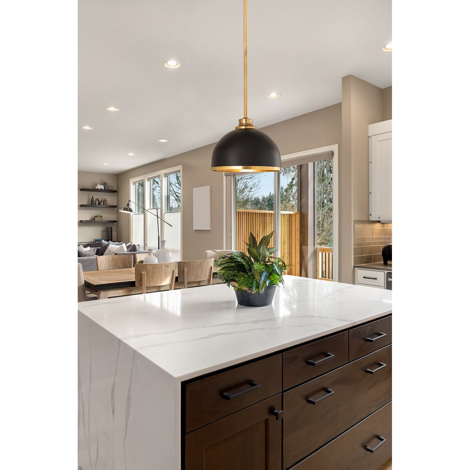 1 Light Pendant