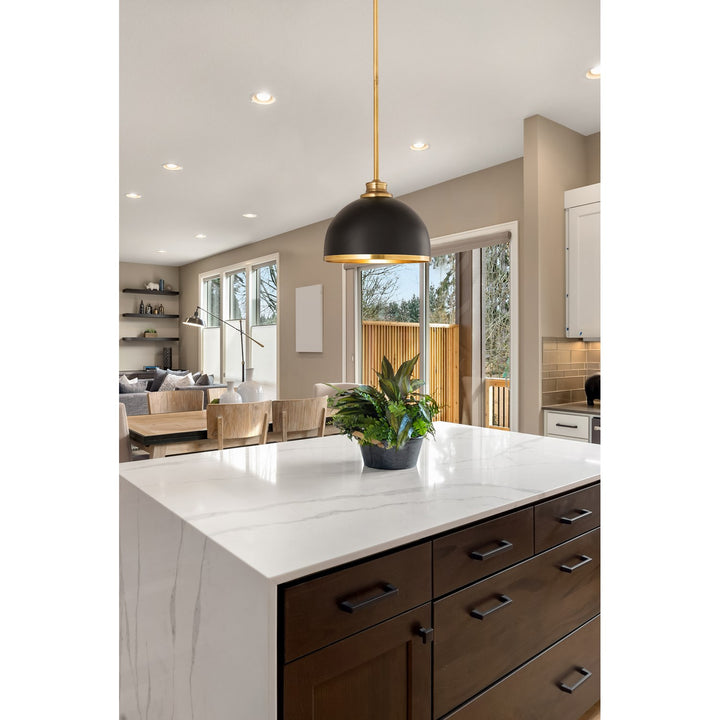 1 Light Pendant