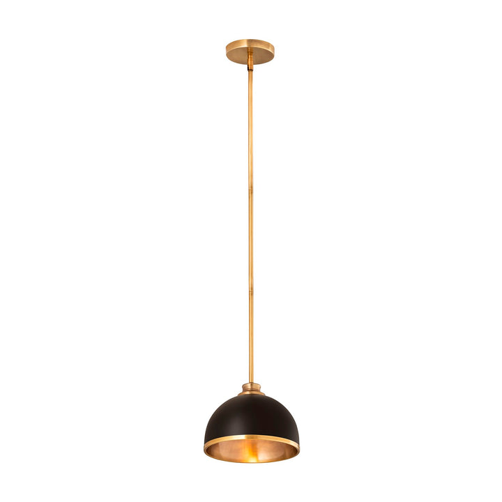 1 Light Pendant