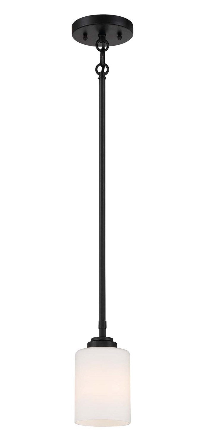 1 Light Mini Pendant in Flat Black