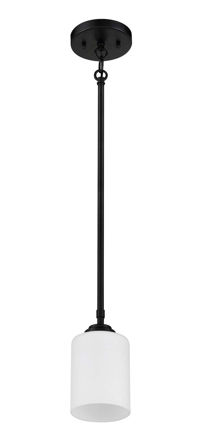 1 Light Mini Pendant in Flat Black