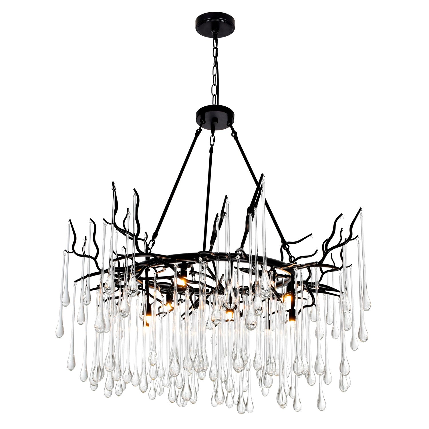 12 Light Chandelier With Black Finish by CWI Lighting
