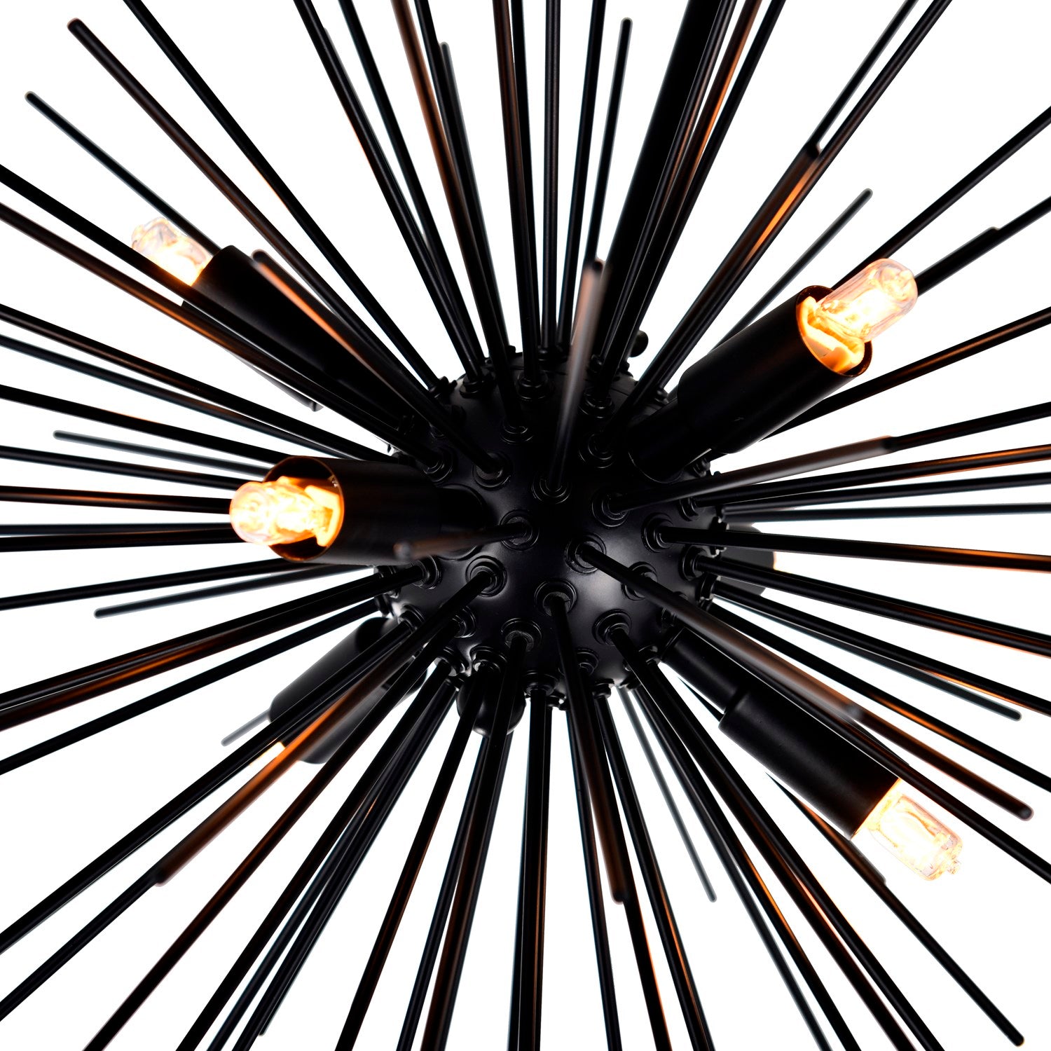 6 Light Chandelier With Black Finish