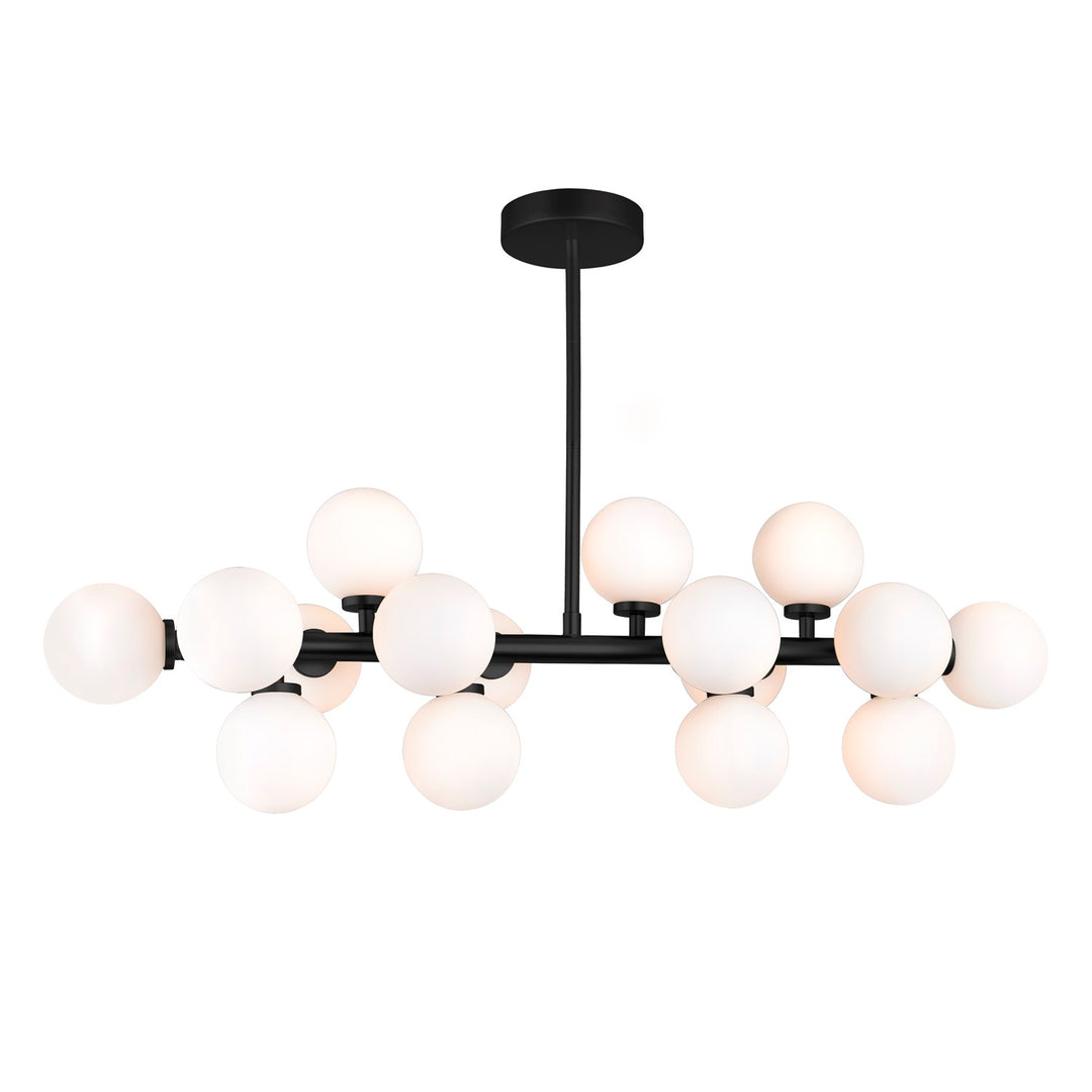 16 Light Chandelier With Black Finish by CWI Lighting
