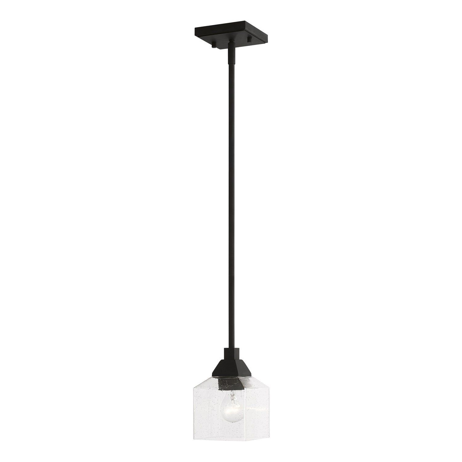 1 Light Black Mini Pendant by Livex Lighting