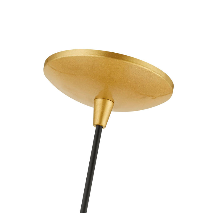 1 Light Soft Gold With Polished Brass Accents Pendant