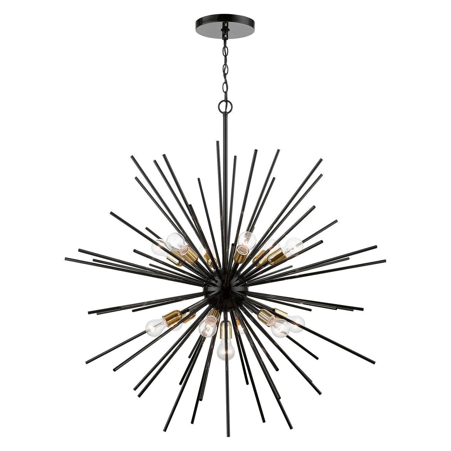 13 Light Shiny Black With Polished Brass Accents Extra Large Foyer Chandelier by Livex Lighting