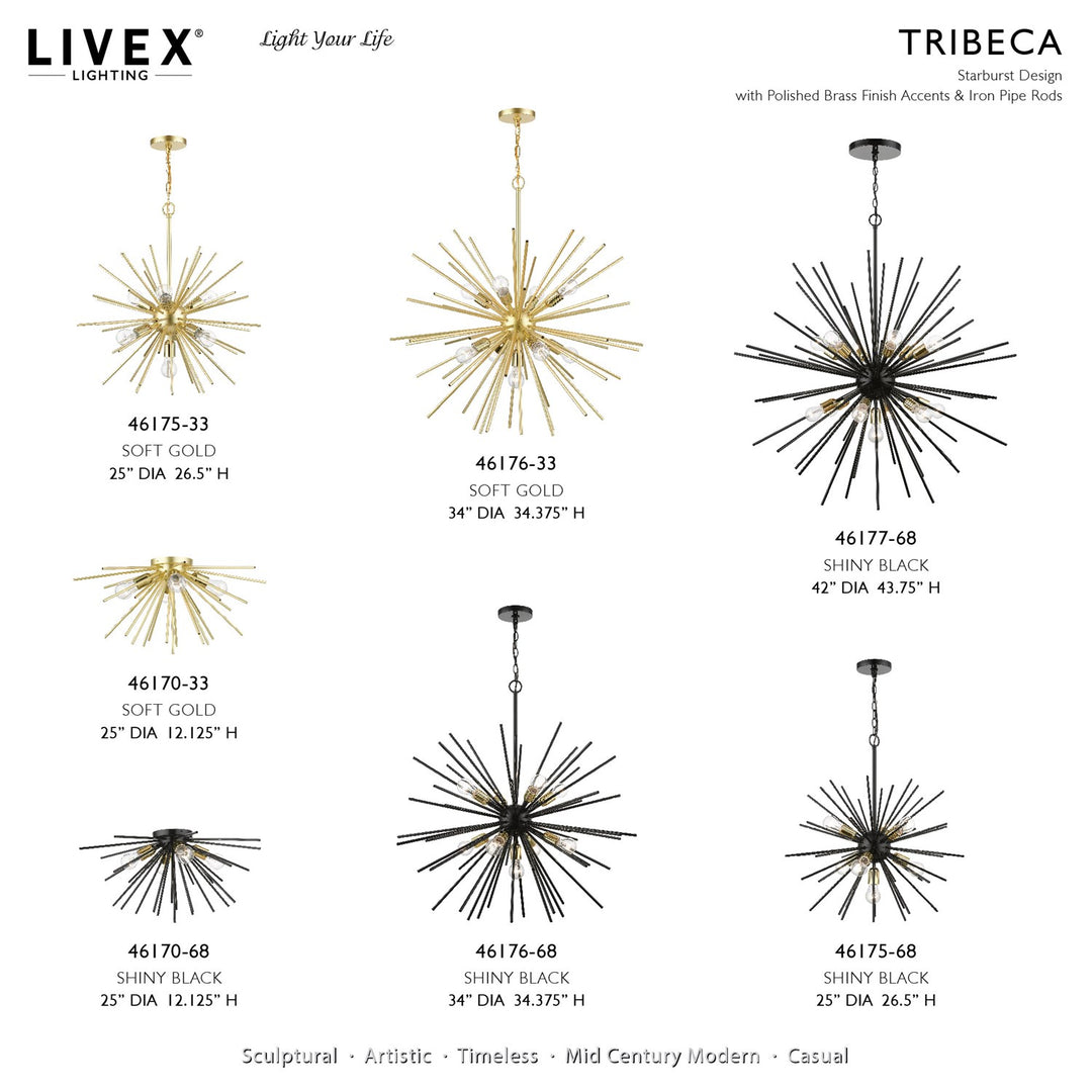 9 Light Soft Gold With Polished Brass Accents Foyer Pendant Chandelier