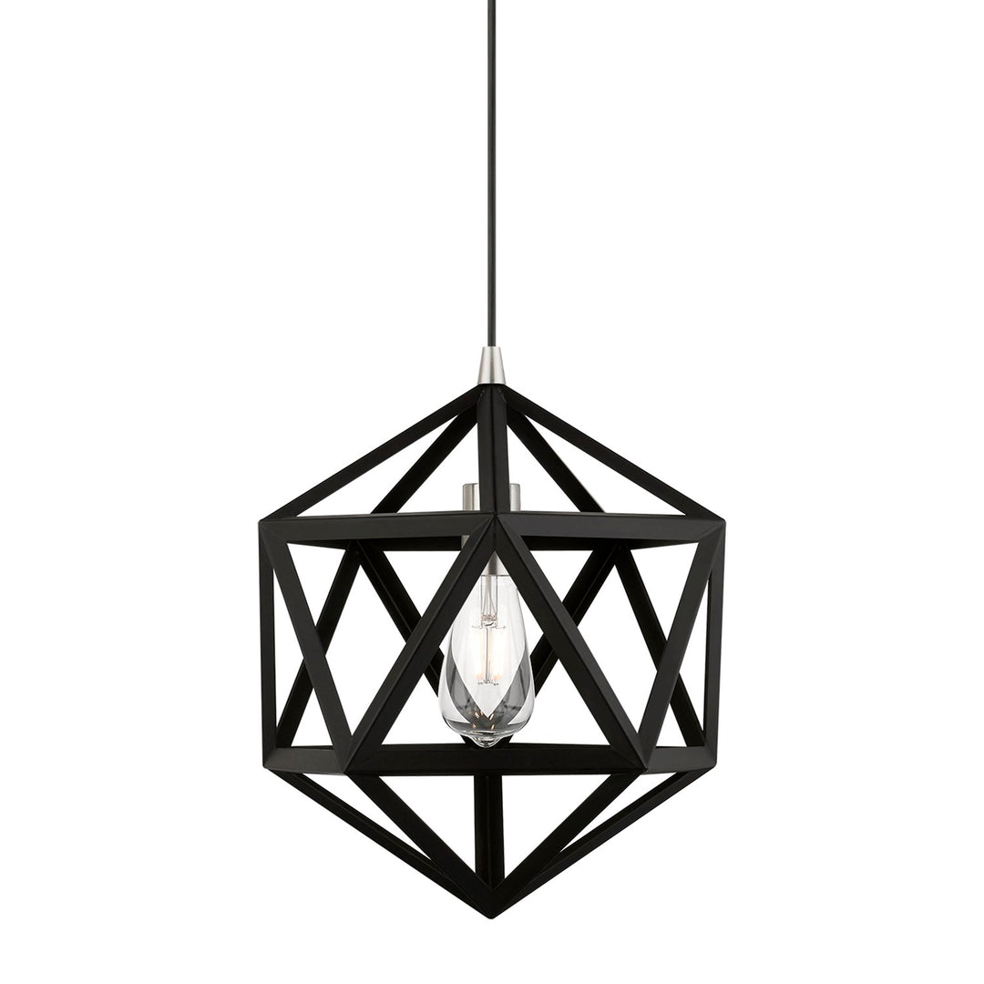 1 Light Black With Brushed Nickel Accents Pendant
