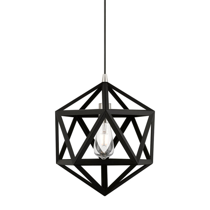 1 Light Black With Brushed Nickel Accents Pendant